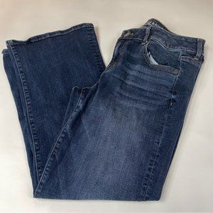 American Eagle Womens Jeans Size 14 SHORT Favorite Boyfriend Dark Stretch #0510